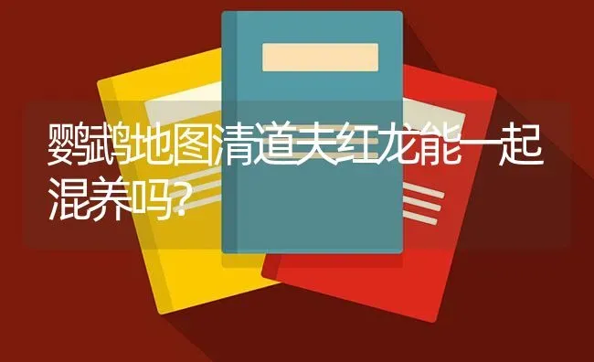 鹦鹉地图清道夫红龙能一起混养吗？ | 鱼类宠物饲养