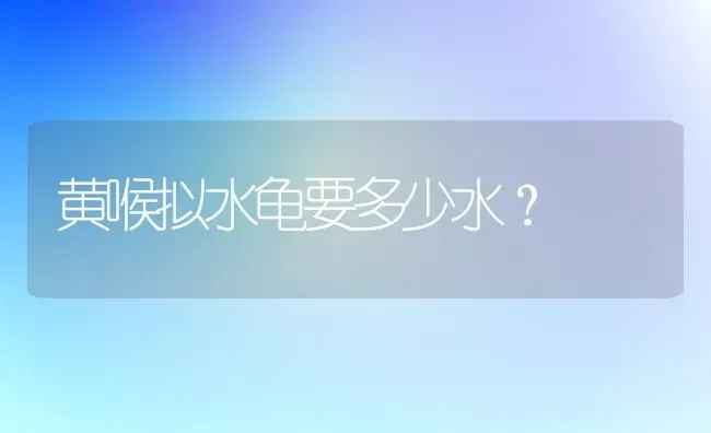 黄喉拟水龟要多少水？ | 动物养殖问答