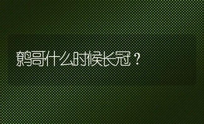 鹩哥什么时候长冠？ | 动物养殖问答