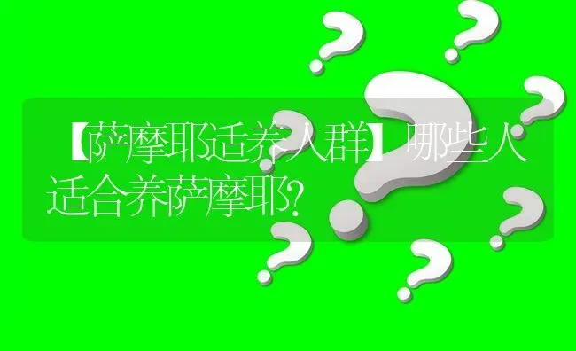 【萨摩耶适养人群】哪些人适合养萨摩耶？ | 动物养殖问答