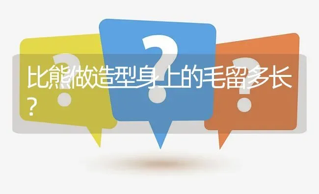 比熊做造型身上的毛留多长？ | 动物养殖问答