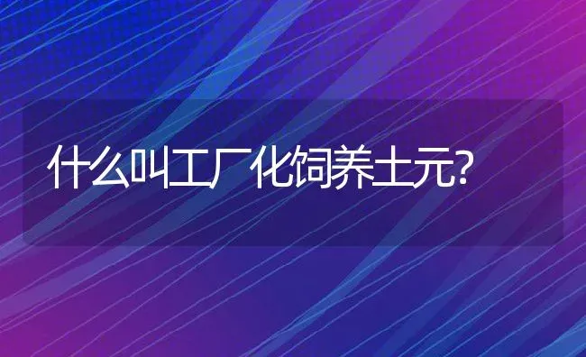 什么叫工厂化饲养土元？ | 动物养殖教程