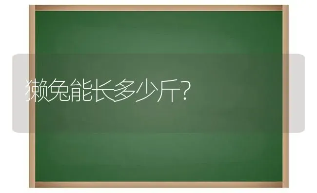 獭兔能长多少斤？ | 动物养殖问答