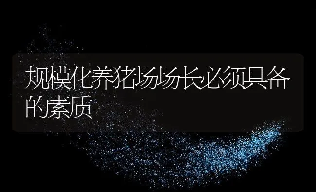 规模化养猪场场长必须具备的素质 | 动物养殖饲料