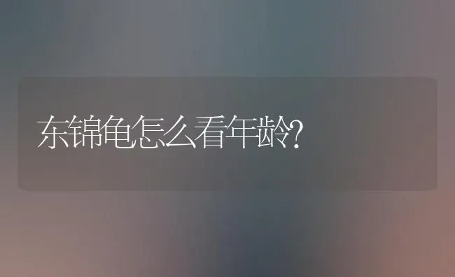 东锦龟怎么看年龄？ | 动物养殖问答