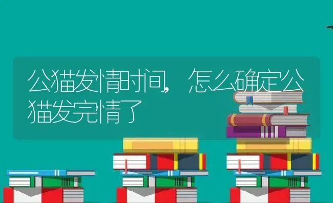 公猫发情时间,怎么确定公猫发完情了 | 宠物百科知识