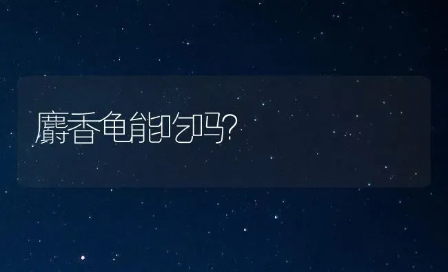 麝香龟能吃吗？ | 动物养殖问答