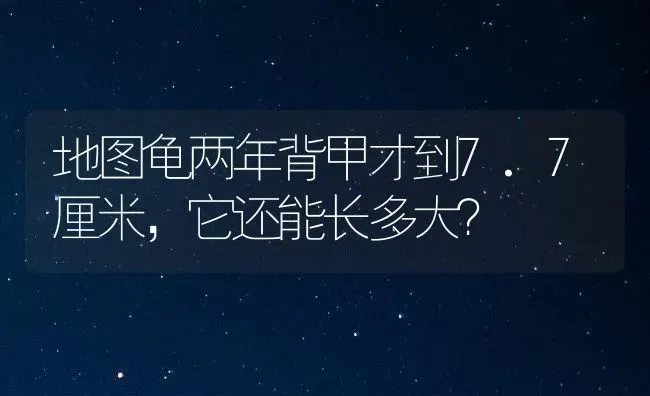 地图龟两年背甲才到7.7厘米，它还能长多大？ | 动物养殖问答