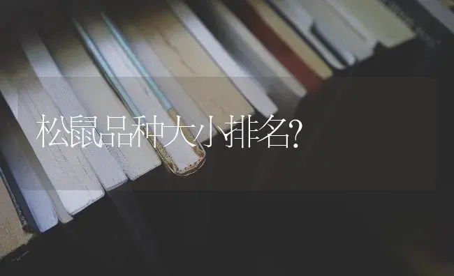 松鼠品种大小排名？ | 动物养殖问答