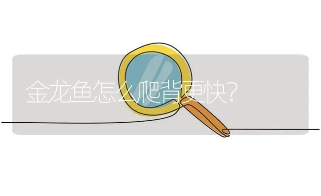 金龙鱼怎么爬背更快？ | 鱼类宠物饲养