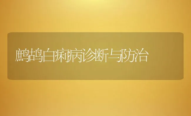 鹧鸪白痢病诊断与防治 | 动物养殖学堂