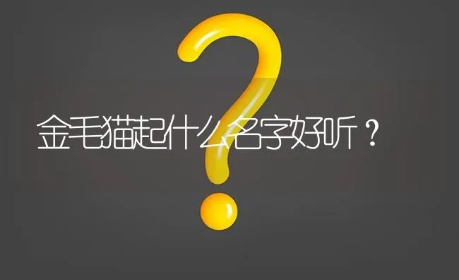 金毛猫起什么名字好听？ | 动物养殖问答