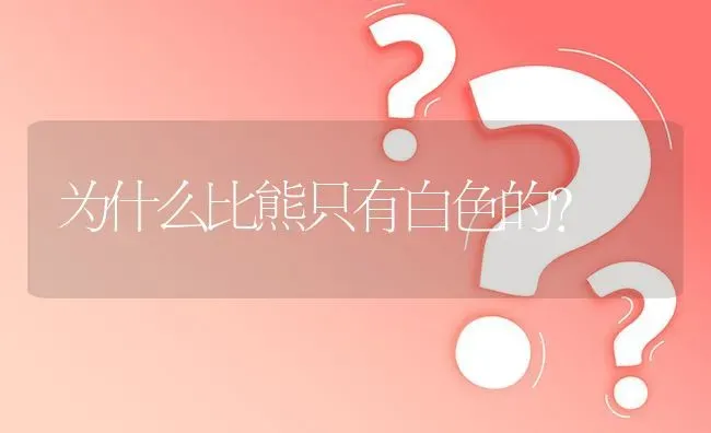 为什么比熊只有白色的？ | 动物养殖问答