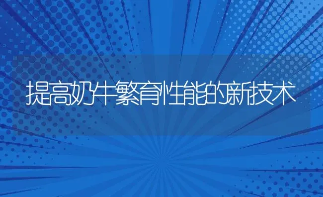 提高奶牛繁育性能的新技术 | 动物养殖饲料