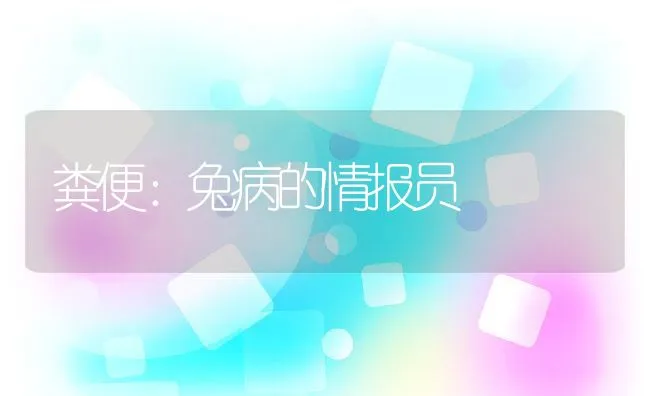 粪便：兔病的情报员 | 水产养殖知识