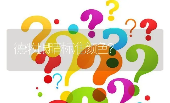 买了一条3月大的拉布拉多,不跟人亲近,也不理人,拖都拖不走?怎么办？ | 动物养殖问答