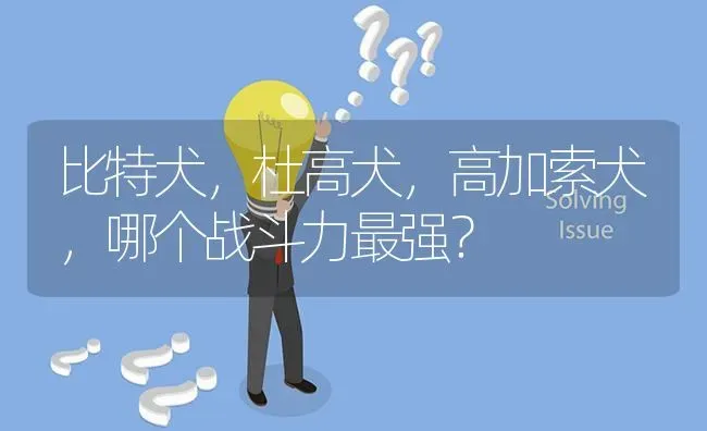 比特犬，杜高犬，高加索犬，哪个战斗力最强？ | 动物养殖问答