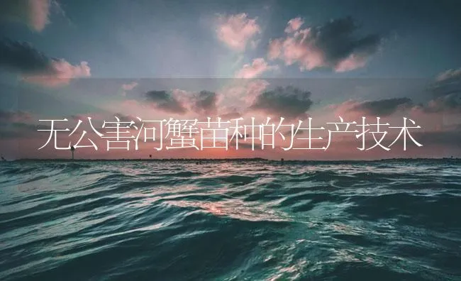 无公害河蟹苗种的生产技术 | 海水养殖技术