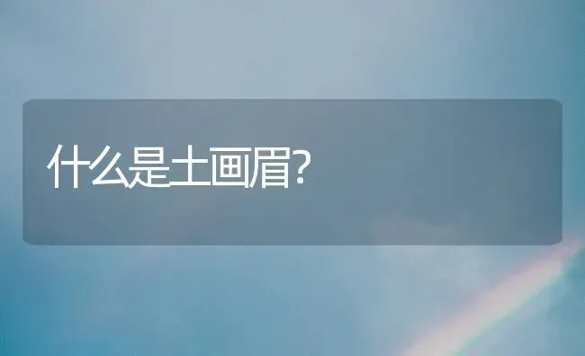 什么是土画眉？ | 动物养殖问答