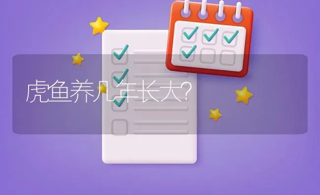 虎鱼养几年长大？ | 鱼类宠物饲养