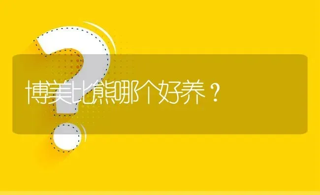 博美比熊哪个好养？ | 动物养殖问答