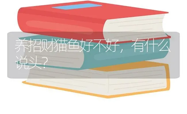 养招财猫鱼好不好，有什么说头？ | 鱼类宠物饲养