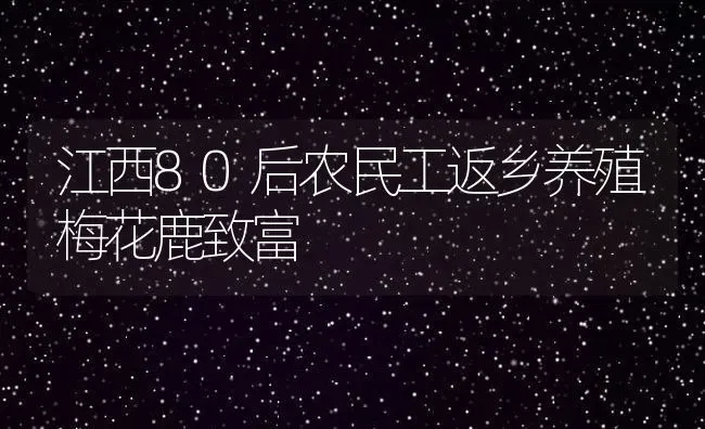 江西80后农民工返乡养殖梅花鹿致富 | 动物养殖教程