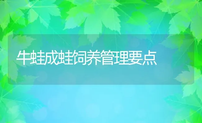 牛蛙成蛙饲养管理要点 | 动物养殖学堂