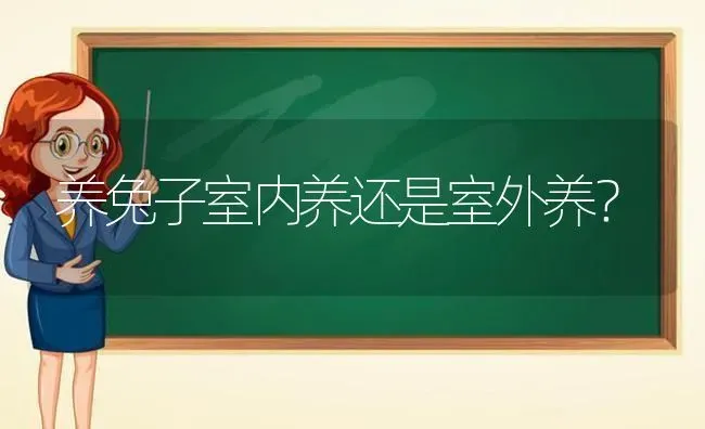 养兔子室内养还是室外养？ | 动物养殖问答