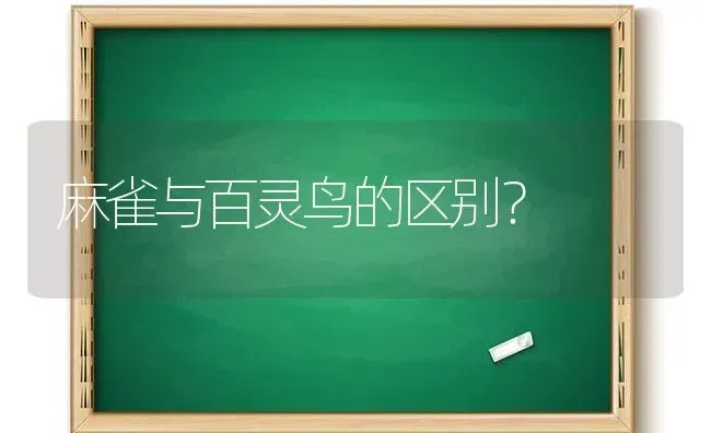 麻雀与百灵鸟的区别？ | 动物养殖问答