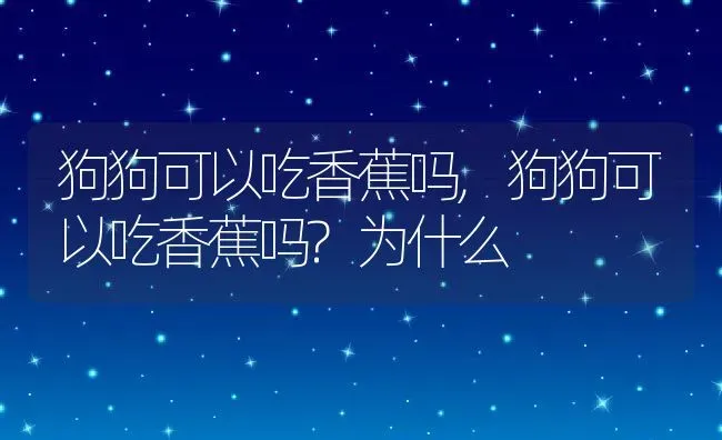 狗狗可以吃香蕉吗,狗狗可以吃香蕉吗?为什么 | 宠物百科知识