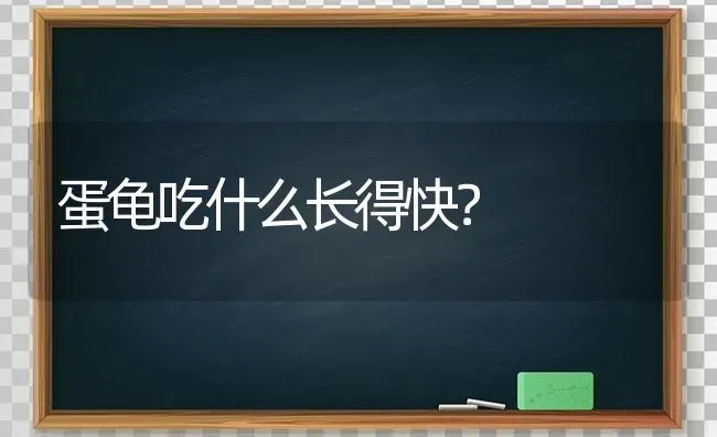 蛋龟吃什么长得快？ | 动物养殖问答