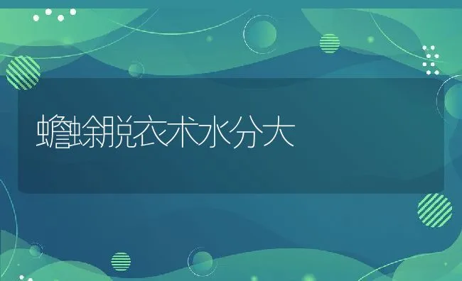 蟾蜍脱衣术水分大 | 动物养殖学堂