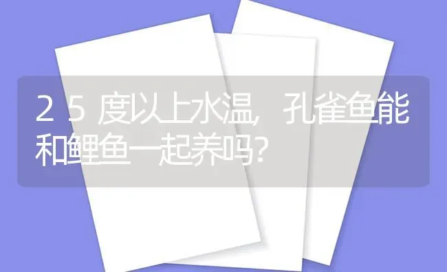 鹦鹉害怕的表现怎么办？ | 鱼类宠物饲养