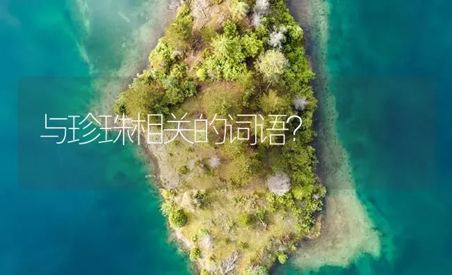 与珍珠相关的词语？ | 鱼类宠物饲养