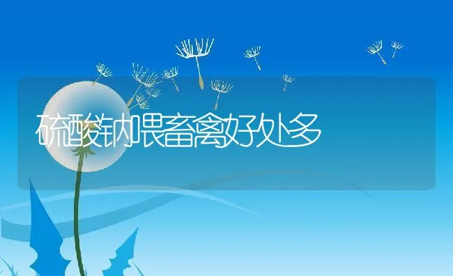 三疣梭子蟹的养殖管理 | 海水养殖技术