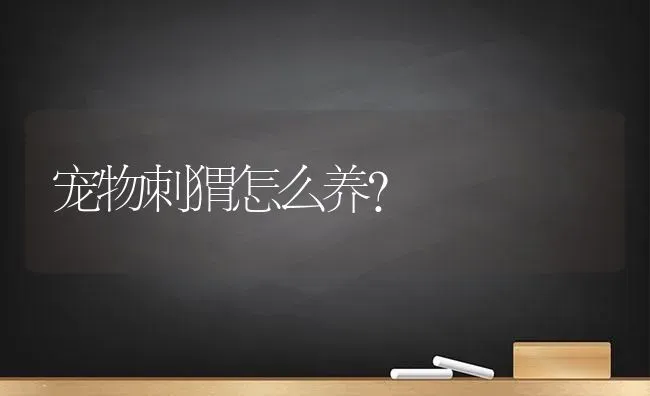 狗狗吃多了西红柿呕吐拉稀，怎么办？ | 动物养殖问答