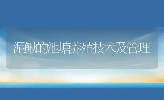 泥鳅的池塘养殖技术及管理 | 动物养殖饲料