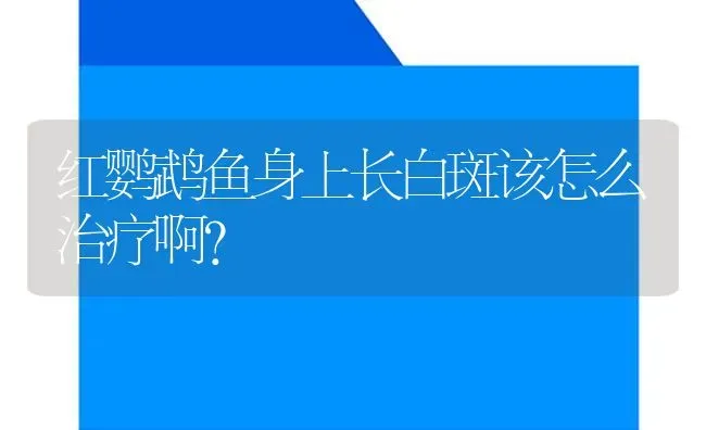 红鹦鹉鱼身上长白斑该怎么治疗啊？ | 鱼类宠物饲养