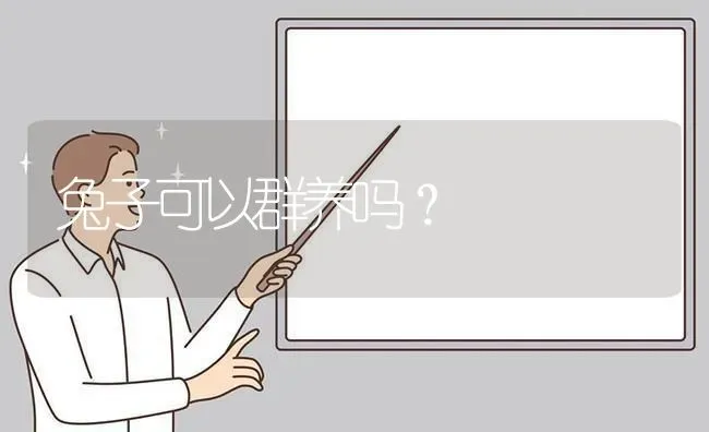 养什么狗不会掉毛，不用天天陪，好养，不易生病？ | 动物养殖问答