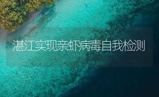 湛江实现亲虾病毒自我检测 | 海水养殖技术