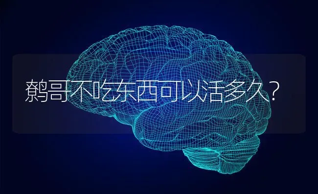 鹩哥不吃东西可以活多久？ | 动物养殖问答