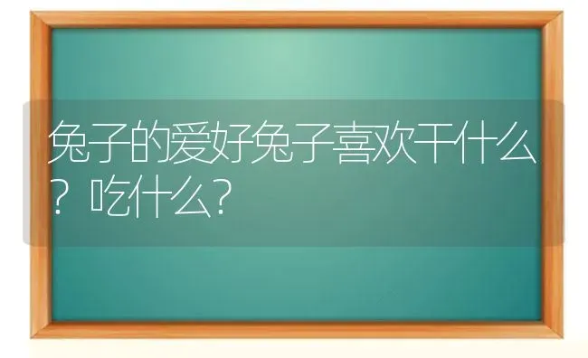 兔子的爱好兔子喜欢干什么？吃什么？ | 动物养殖问答