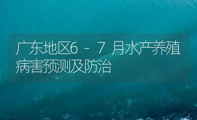 广东地区6-7月水产养殖病害预测及防治 | 海水养殖技术