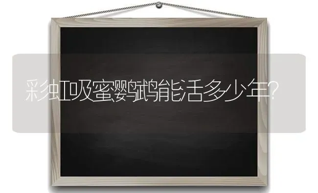 彩虹吸蜜鹦鹉能活多少年？ | 动物养殖问答