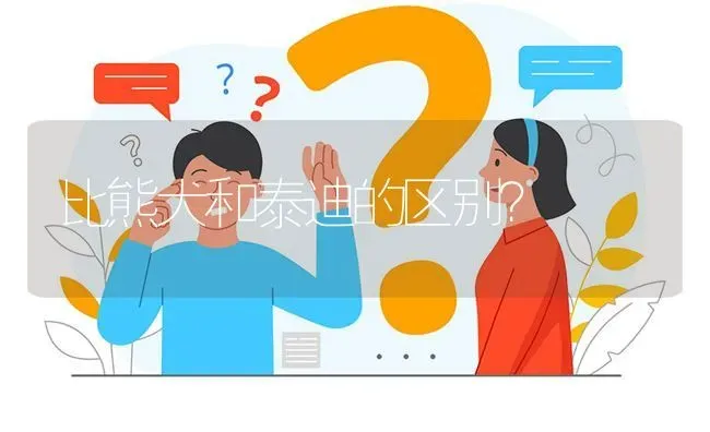 比熊犬和泰迪的区别？ | 动物养殖问答