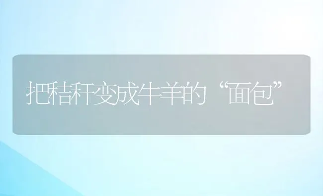 池塘网箱养鳝经验 | 海水养殖技术