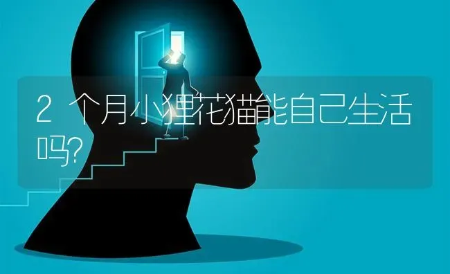2个月小狸花猫能自己生活吗？ | 动物养殖问答