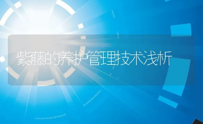 紫藤的养护管理技术浅析 | 水产养殖知识