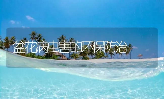 盆花病虫害的环保防治 | 海水养殖技术